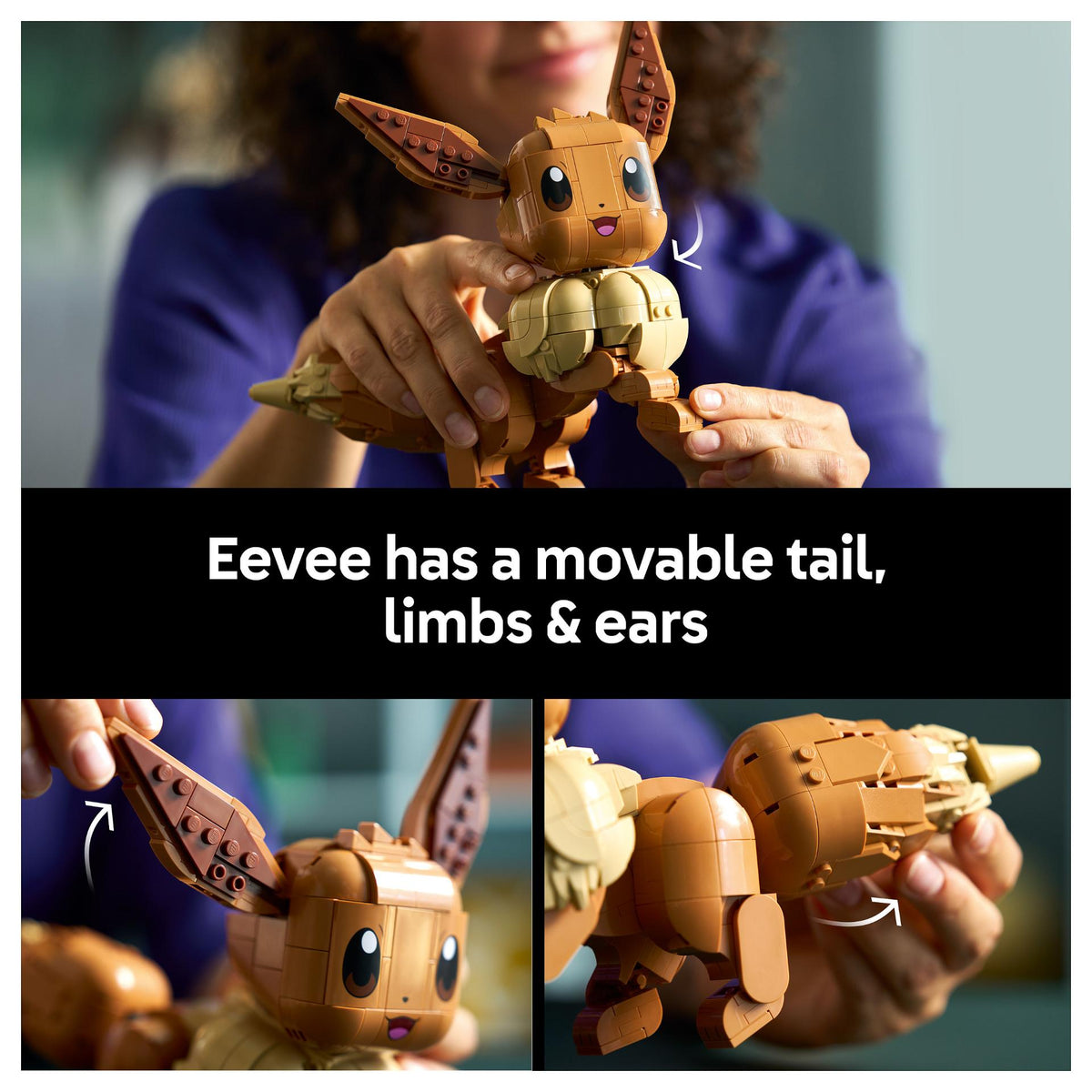 72151 Pokmon Evoli