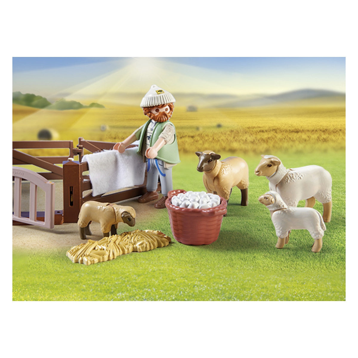 - Country - Junger Schäfer mit Schafen