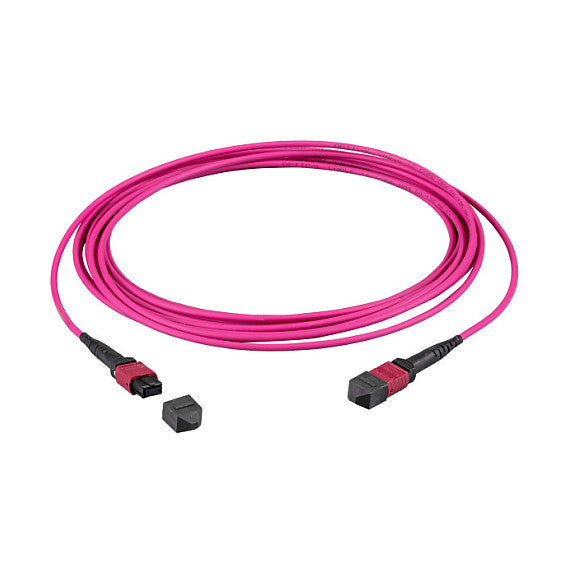 EFB MTP(F)-MTP(F) Patchkabel OM4 12 Fasern Typ B LSZH erika-violett 15m
