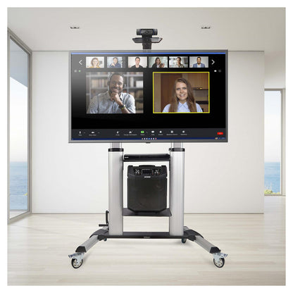 StarTech.com MOBILE TV CART up to 120 TV 220 CAP HAND CRANK HEIGHT ADJUSTMENT