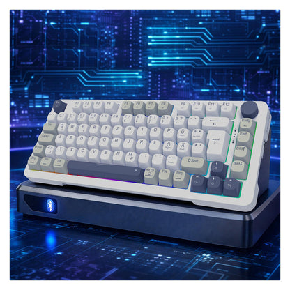 INCA Gaming Tastatur RGB/GraySwitch/USB-C/BT 2.00m weiß