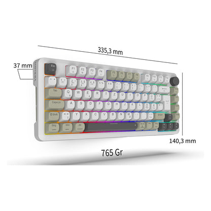 INCA Gaming Tastatur RGB/GraySwitch/USB-C/BT 2.00m weiß