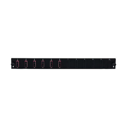EFB Bestckte 12 Port Frontblende mit 6 x SC Duplex Kupplung OM4 vertikal, grau