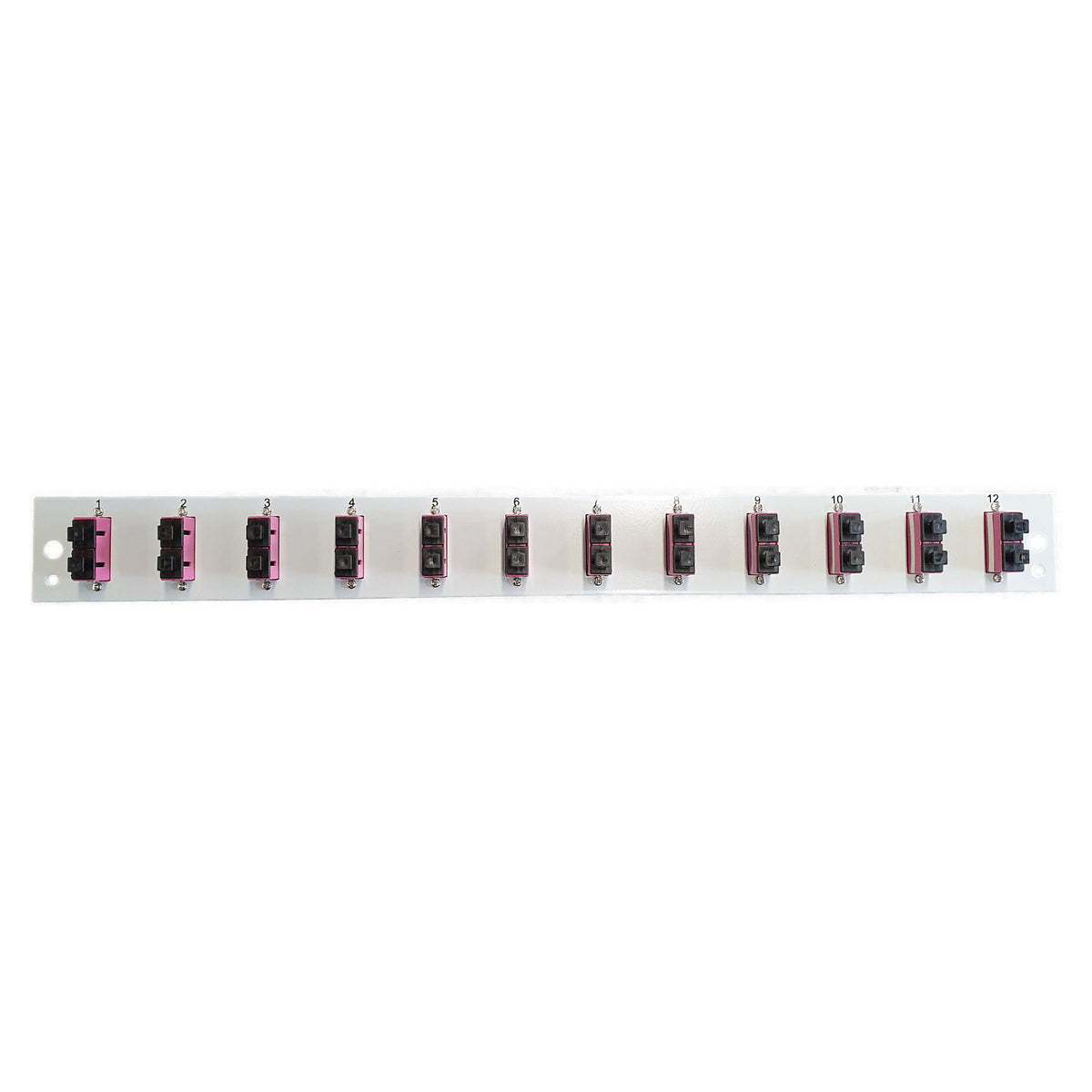 EFB Bestckte Frontblende mit 12 x SC Duplex Kupplung OM4 vertikal, schwarz