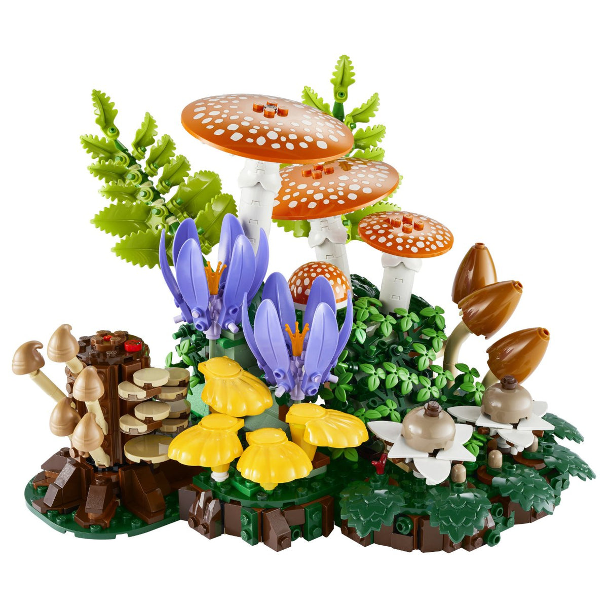 11505 LEGO 11505 Botanicals Waldpilze (2.5.)
