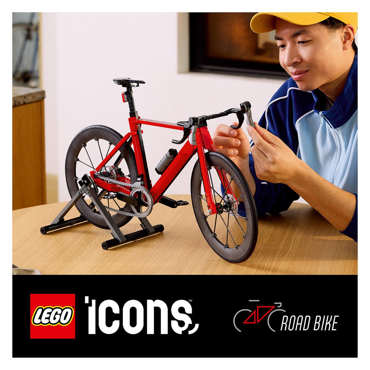 11380 LEGO 11380 Icons TBA (5.5.)