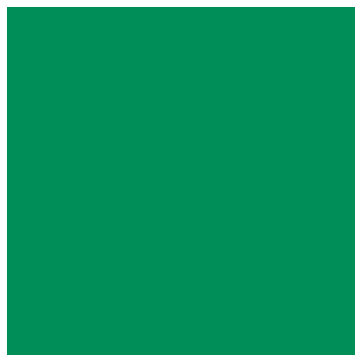Premium Vinyl Permanent 30x120cm Kelly Green (P)