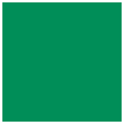 Premium Vinyl Permanent 30x120cm Kelly Green (P)