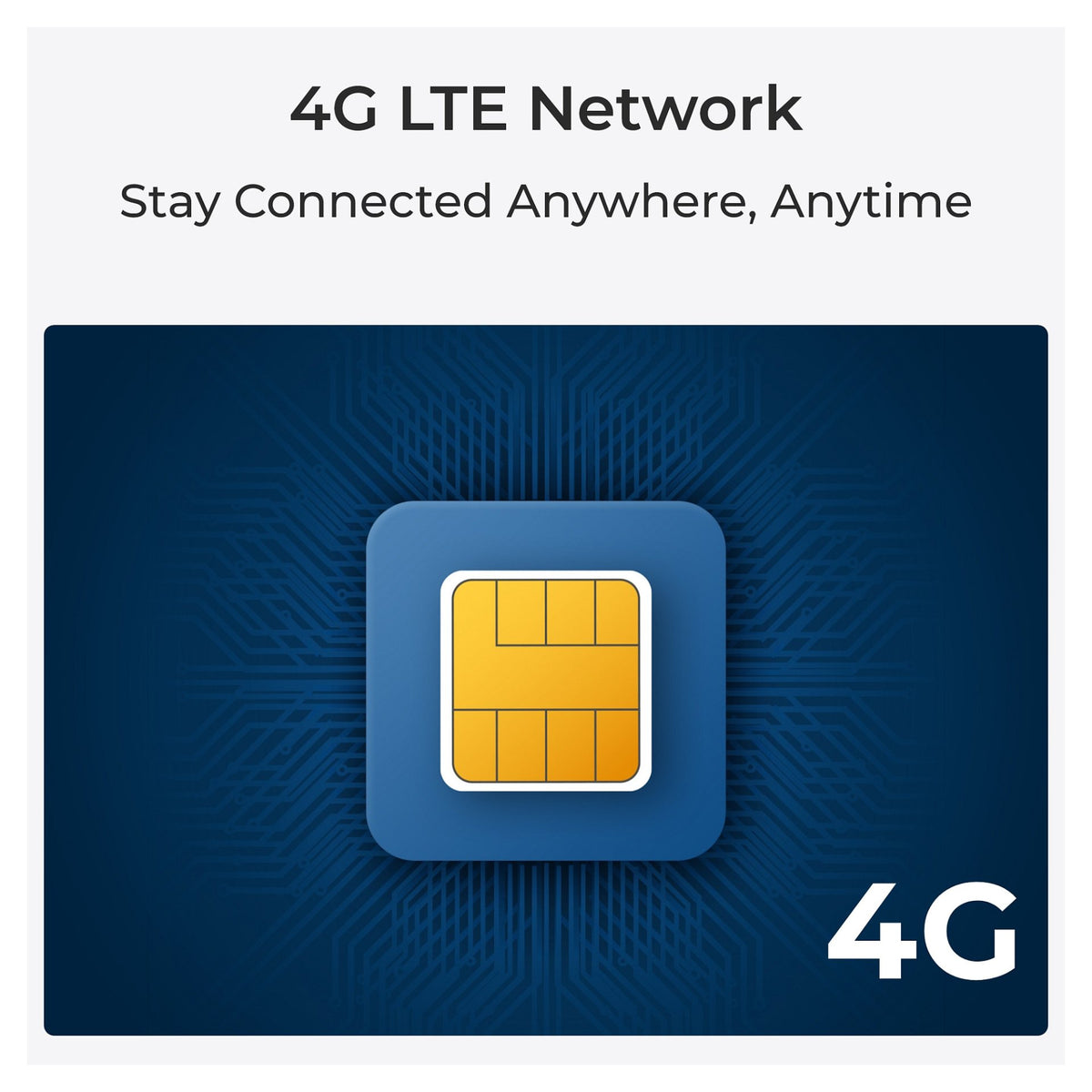 Reolink Go Series G450 4G