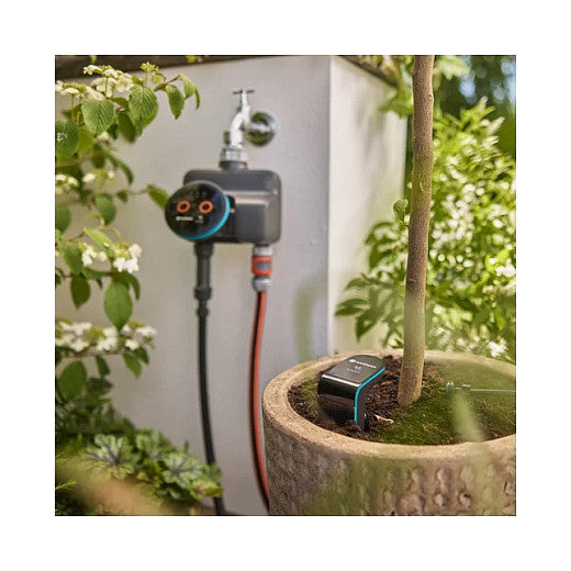 Dual Smart Timer