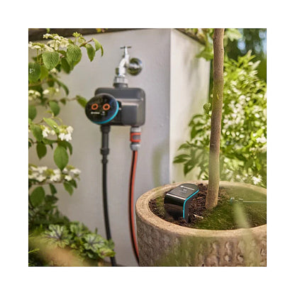 Dual Smart Timer