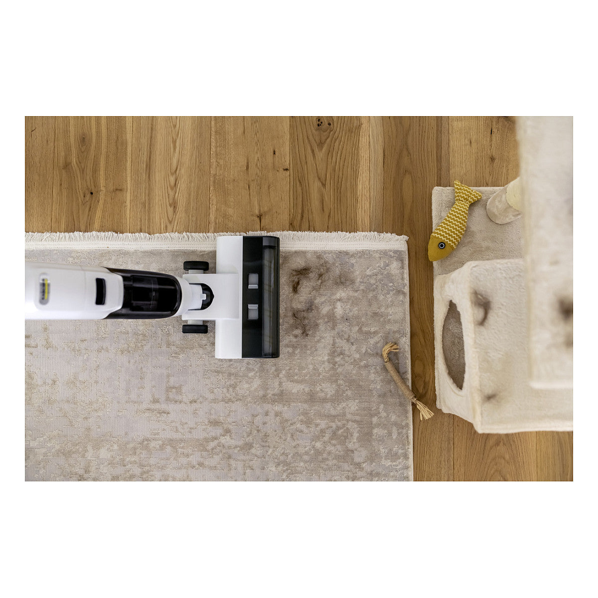 FCV2 Natural N Waschsauger