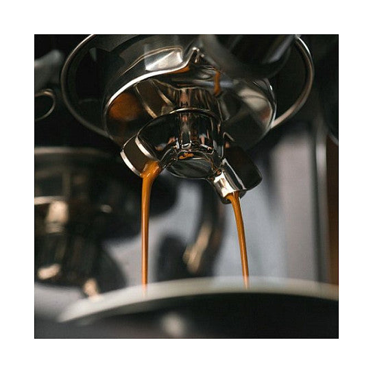 Sage The Barista Touch Brushed Stainless Steel