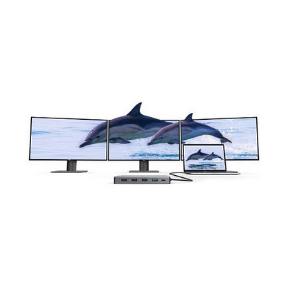Universal 12-in-1 Mini Dock DV3