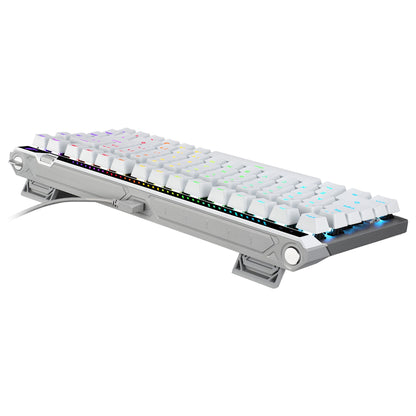 Asus ROG Falchion Ace 75 HE (weiss, DE-Layout, ROG HFX V2)