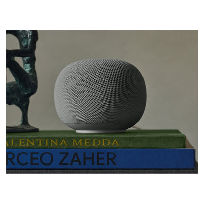 Google Home Grey