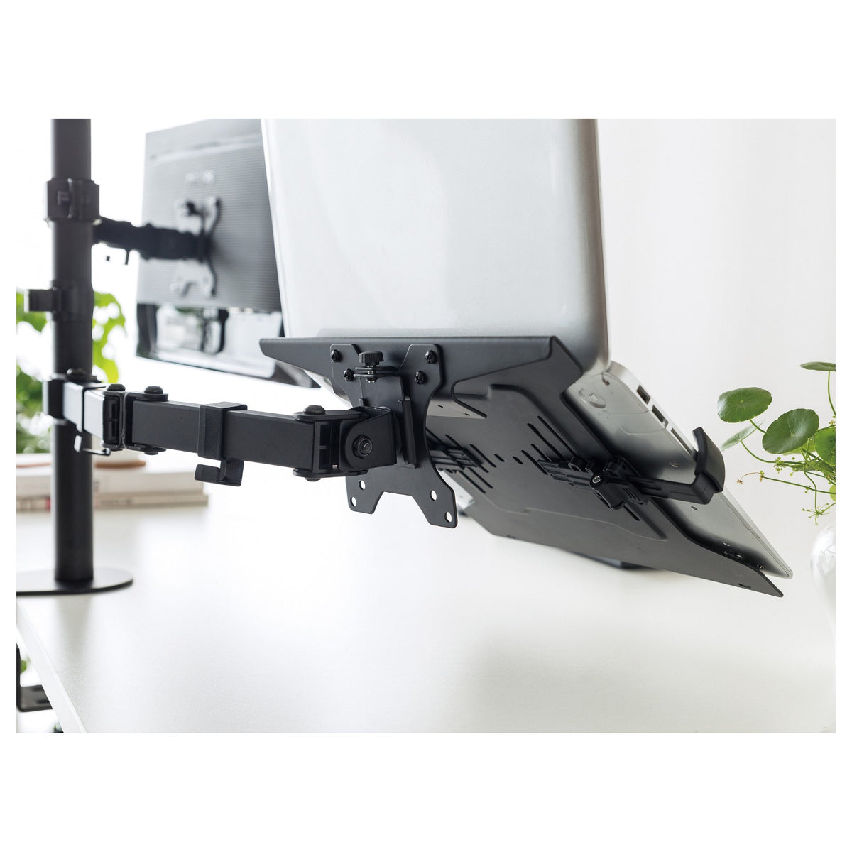 Equip Laptophalter Max. VESA 100x100 schwarz retail