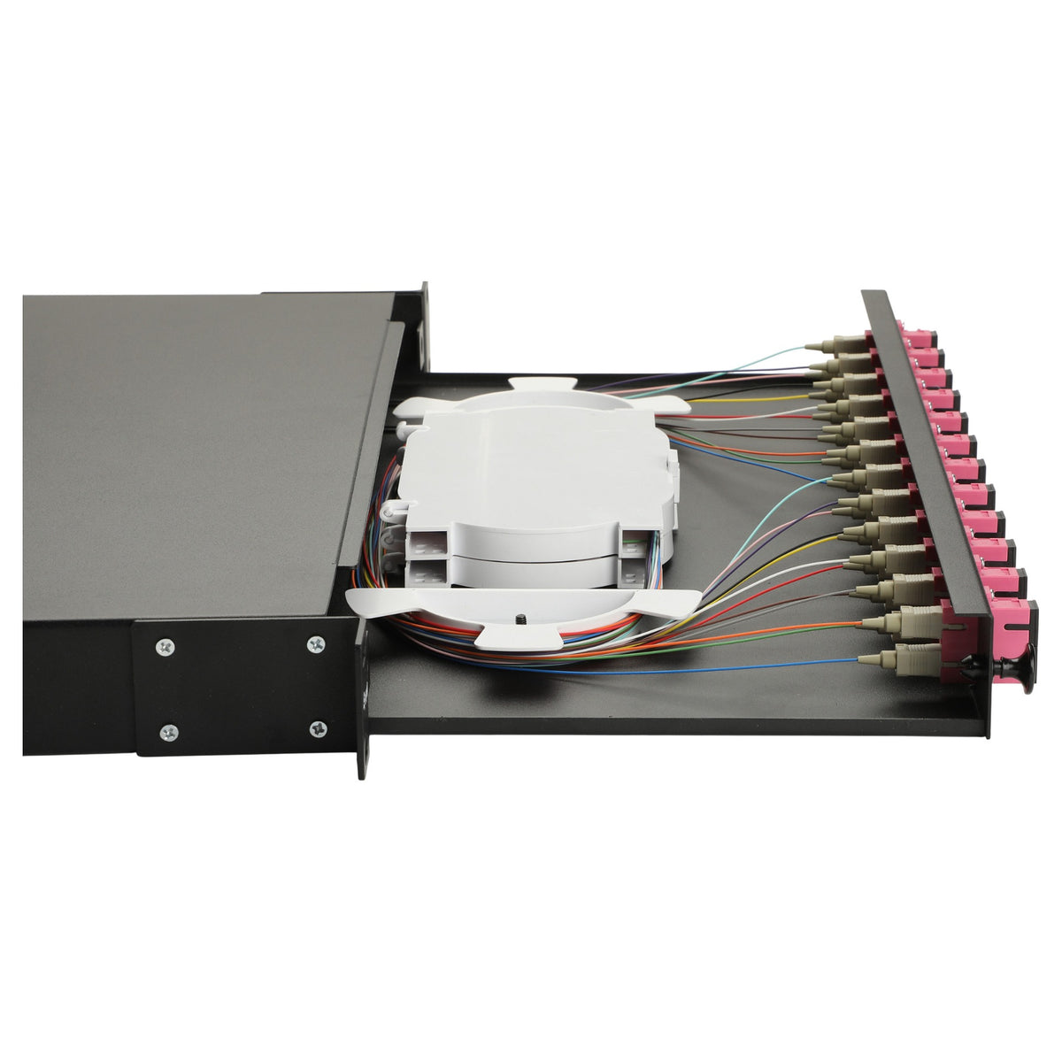 Equip LWL-Spleißkasten 12-Port SC-Duplex OM4 1U komplett sw