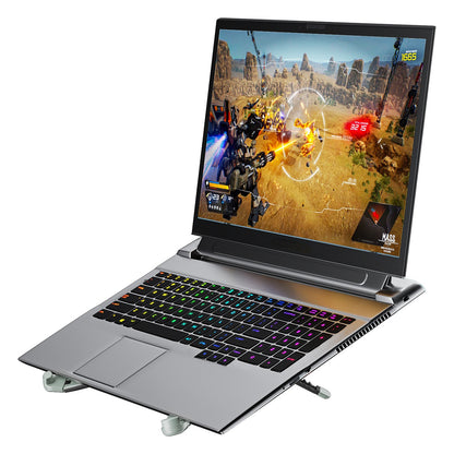 Laptop-Stand 5kg ERGO tragbar 17.3"sil