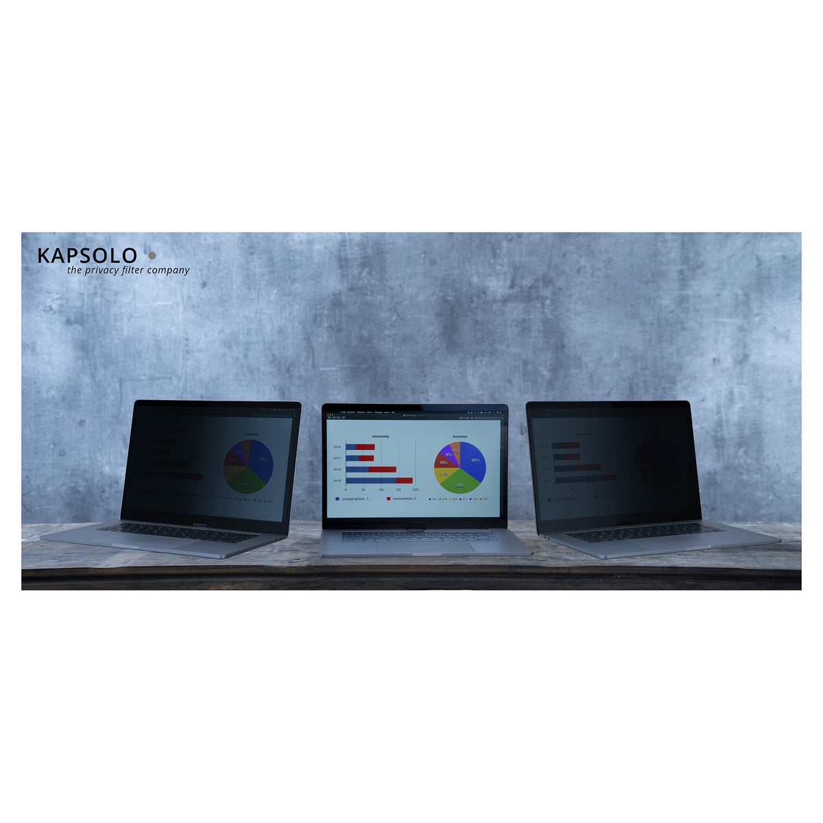 KAPSOLO 2-Wege Plug In Blickschutzfilter fr 35,56cm (14,0") Wide 16:9