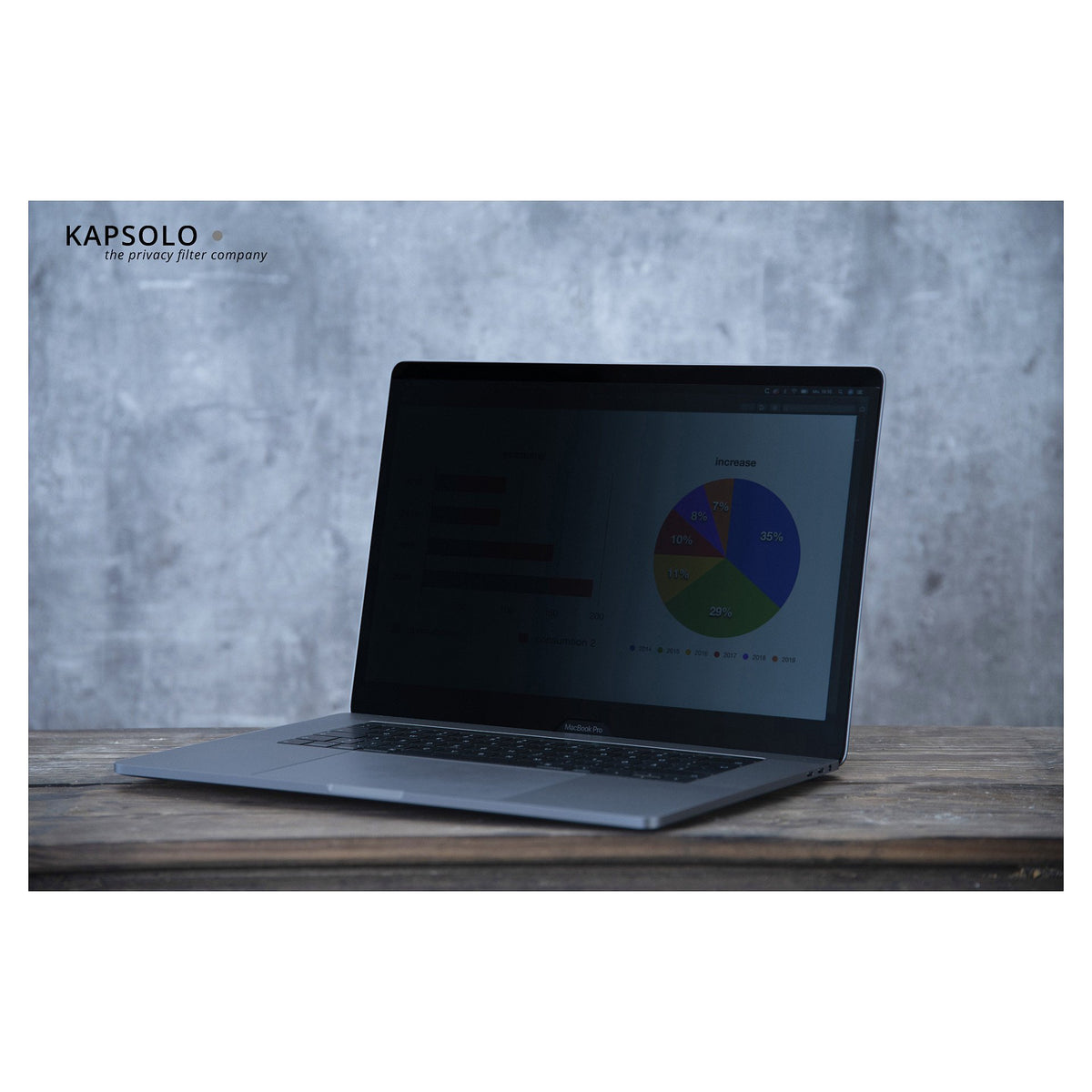 KAPSOLO 2-Wege Plug In Blickschutzfilter fr 35,56cm (14,0") Wide 16:9