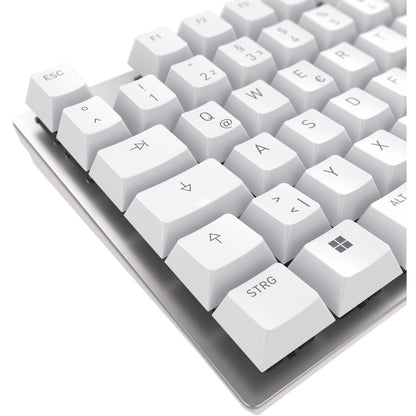 Cherry Keyboard KC 200 MX MX2A BROWN [DE] white/silver MX2A BROWN Switch