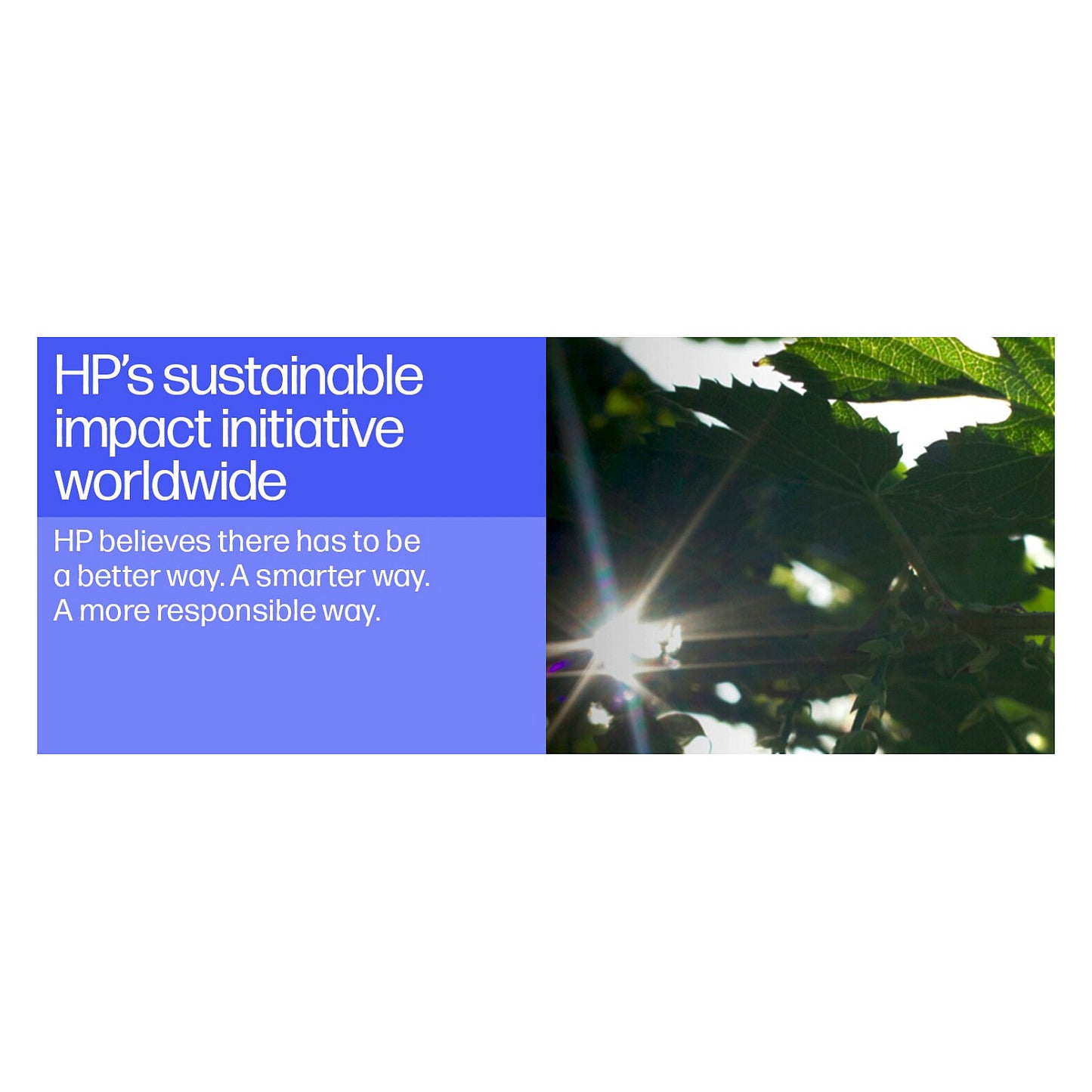 HP DesignJet T950 91,4cm 36" Großformatdrucker LAN WiFi 2 Jahre Garantie