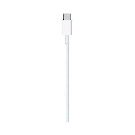 Apple USB-C Ladekabel 2M MLL82ZM/A Retail