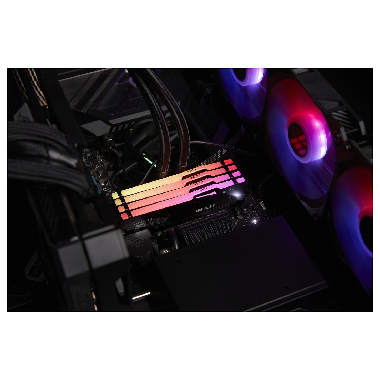 KINGSTON 32GB 5600MT/s DDR5 CL36 DIMM FURY Beast RGB EXPO