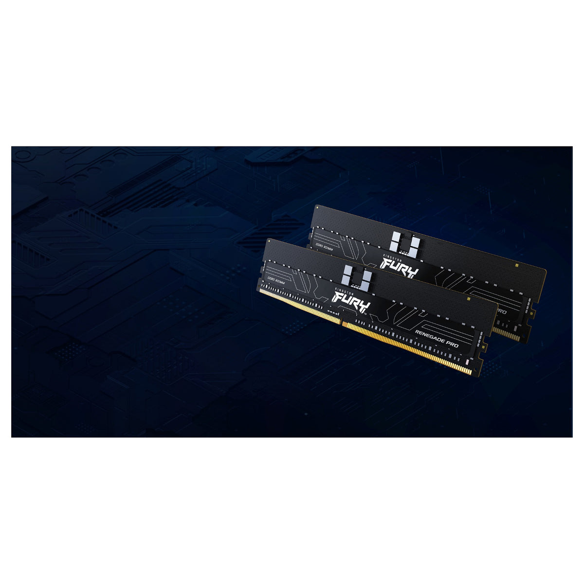 KINGSTON FURY Renegade Pro 16GB DIMM 5600MT/s DDR5 ECC Reg CL36 XMP