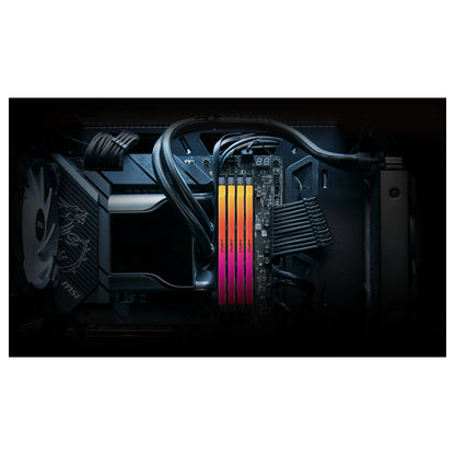 KINGSTON 32GB 6400MT/s DDR5 CL32 DIMM FURY Renegade RGB XMP