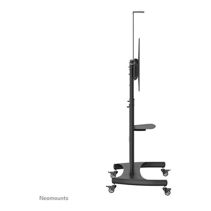 Neomounts PLASMA-M1950E mobiler Bodenständer für Flachbild-Fernseher bis 100" (254 cm). Höhenverstellbar - Schwarz