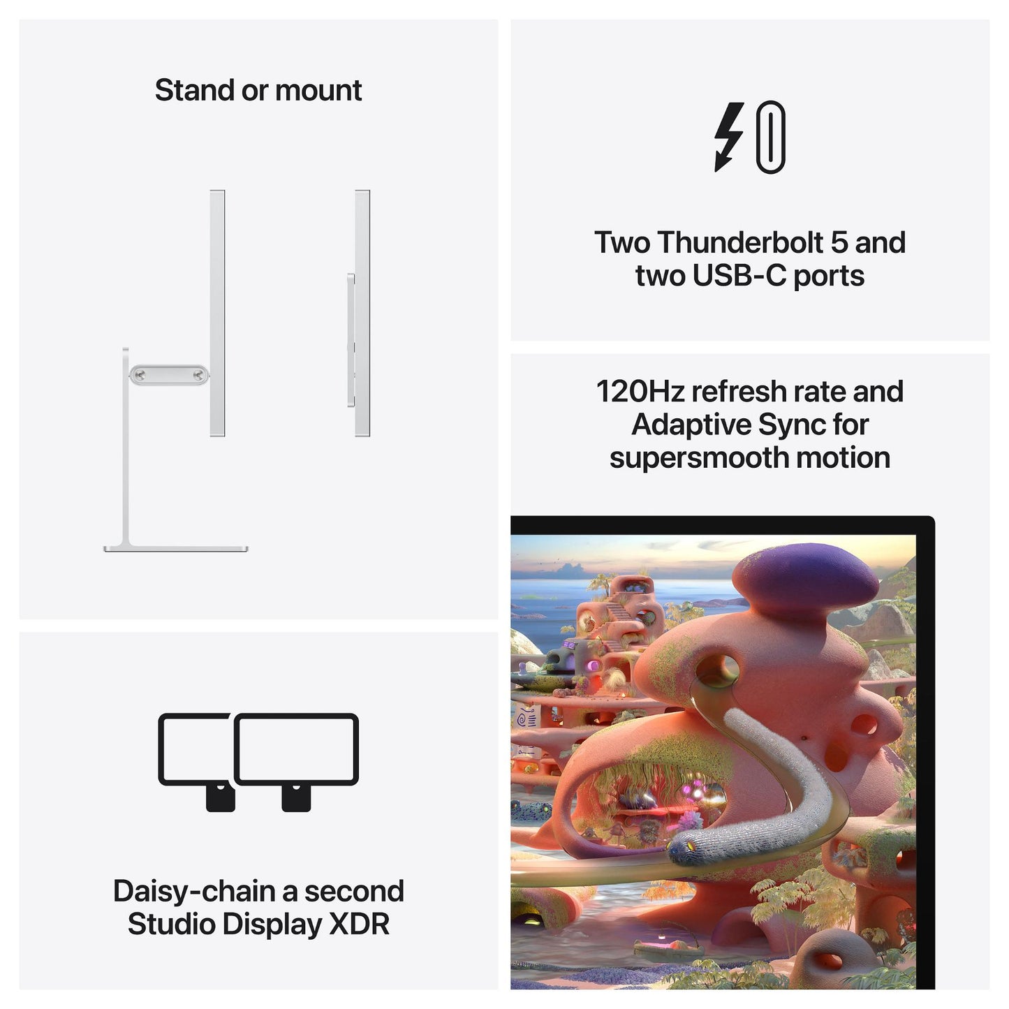 Apple Studio Display XDR - Standard glass - VESA mount adapter (Stand not included) (2026)