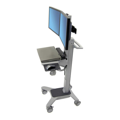 Ergotron Neo-Flex Dual WideView