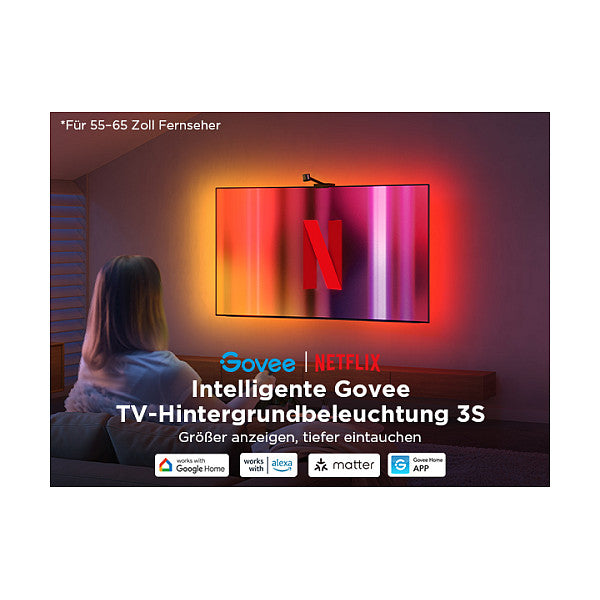 Govee Netflix Envisual TV Backlight 55"-65"