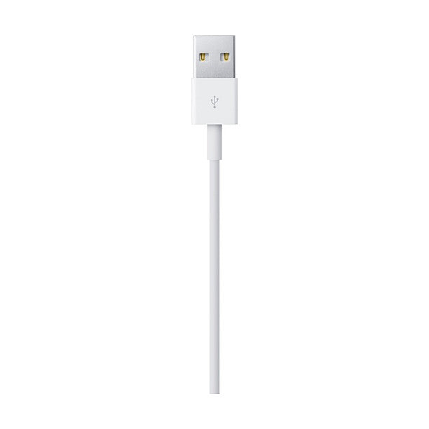 Apple Lightning - USB Kabel 2M Bulk