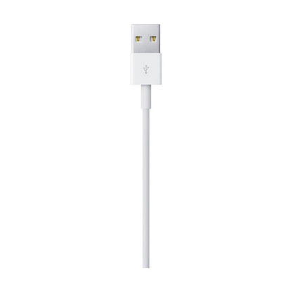 Apple Lightning - USB Kabel 2M Bulk